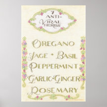 7 Poster d'herbes antivirales