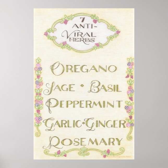 7 Poster d'herbes antivirales (Devant)