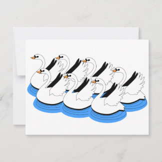 7 Swans Natation