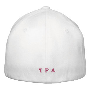 813 Tampa ont brodé le casquette de boule