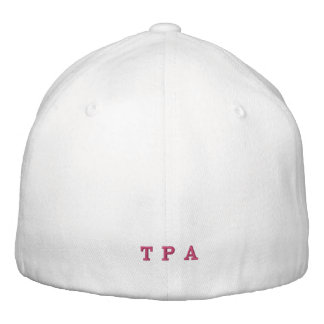 813 Tampa ont brodé le casquette de boule