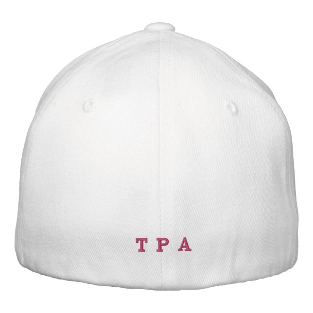 813 Tampa ont brodé le casquette de boule (Dos)