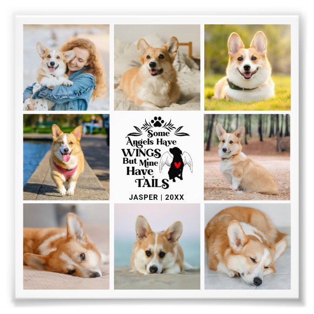 8 Photo Collage Animaux de compagnie Chien Perdre  (Devant)