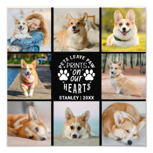 8 Photo Collage Animaux de compagnie Souvenir Élar