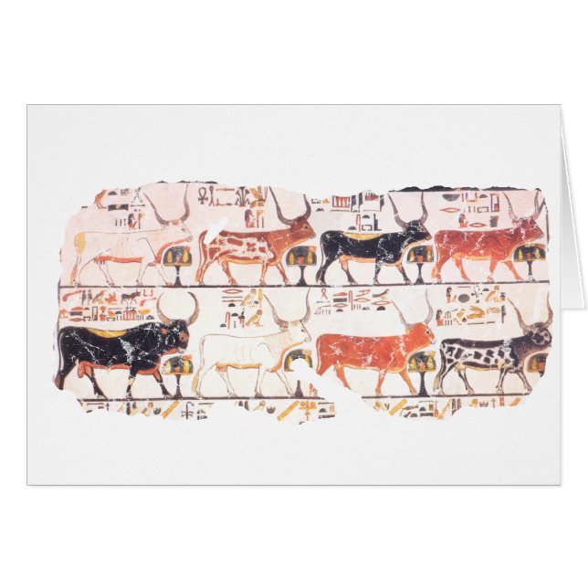 8 vaches (Devant horizontal)
