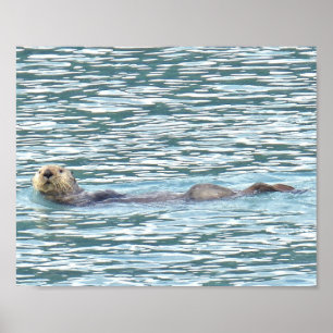 8x10  Poster Paper (Matte) of otter