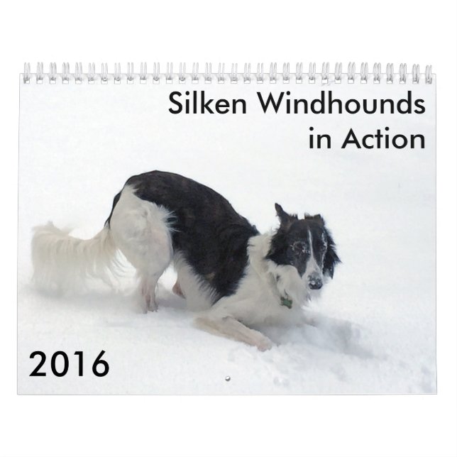 9 2016 Windhounds de soie dans le calendrier (Protection)