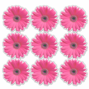 9 autocollants de fleurs de gerbera rose