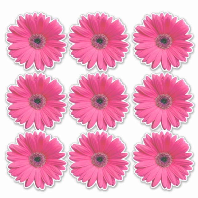 9 autocollants de fleurs de gerbera rose (Devant)