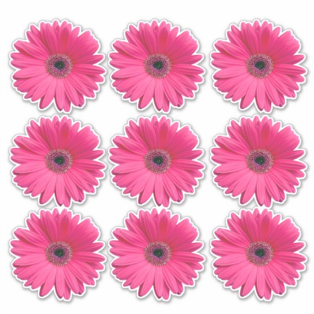 9 autocollants en forme de fleur de gerbera rose (Devant)