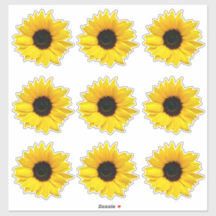 9 Autocollants Kiss-Cut de Tournesol Jaune Fleur