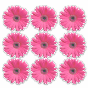 9 Stickers Coupe-Baise-Fleur Gerbera Rose