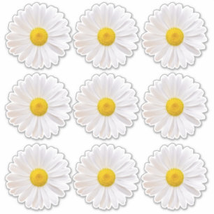 9 Stickers Shasta Daisy Flower Kiss-Cut