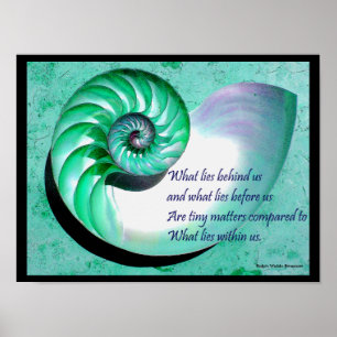 A01 Poster de coquille Nautilus avec une citation