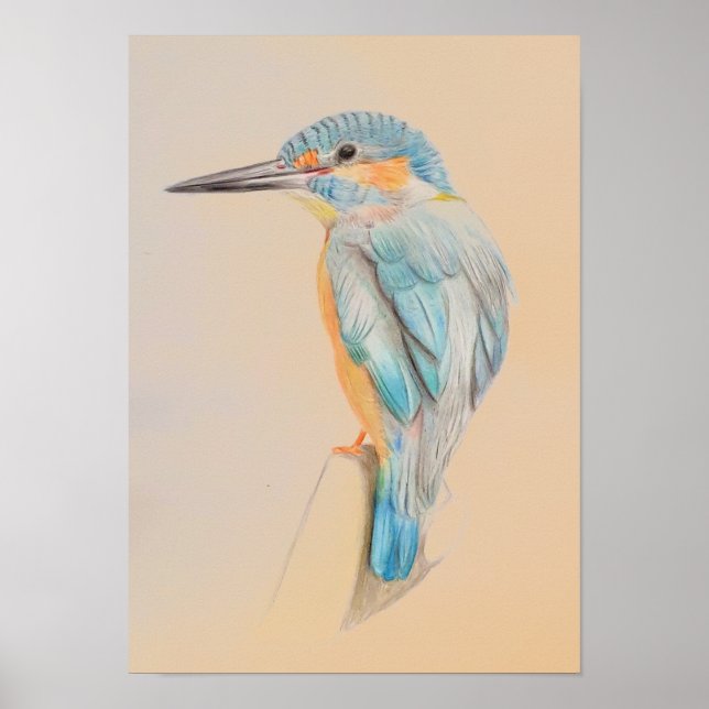 A3 Beau crayon Kingfisher Impression (Devant)