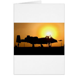A-10 SCELER