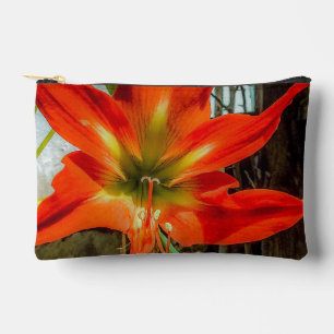 À Accessoires Pochette Accessoire Gros Plan Amaryllis 