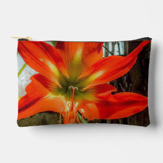 À Accessoires Pochette Accessoire Gros Plan Amaryllis 