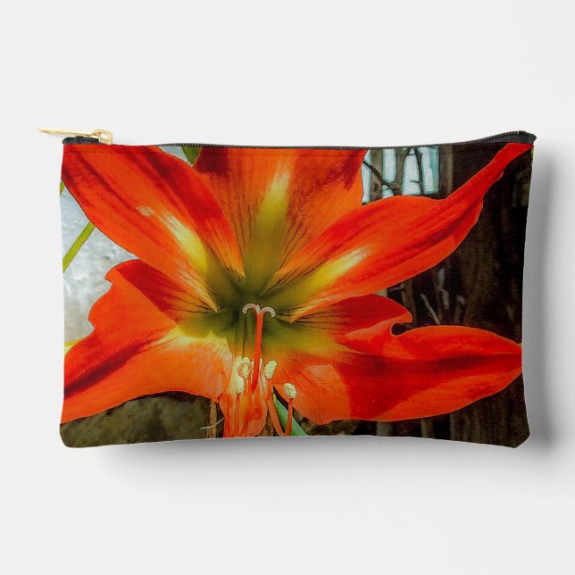À Accessoires Pochette Accessoire Gros Plan Amaryllis  (Recto)