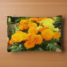 Pochette de Souci Orange