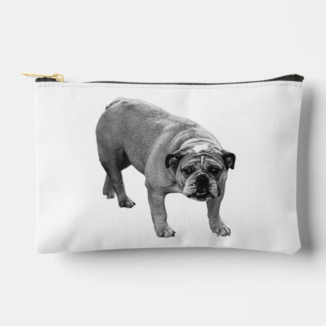 À Accessoires Pochette pour chien-taureau de nuit Frost (Recto)