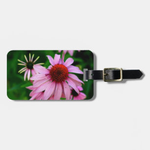 À Bagage étiquette de closeuse de fleur d'échinacée violett