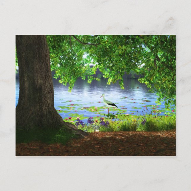 A côté de la carte postale d'eau calme (Devant)