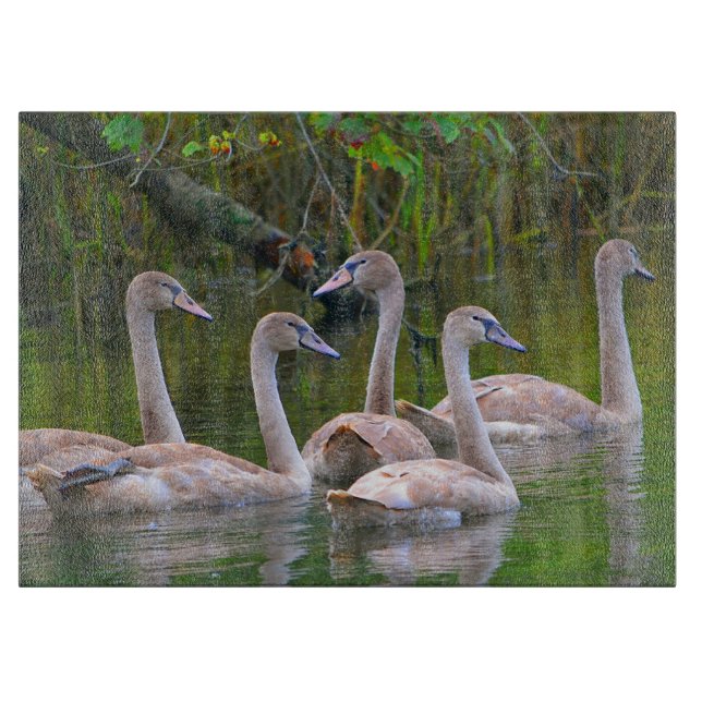 À Découper Planche de coupe en verre de cygne (Devant)