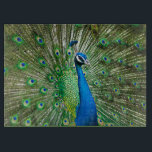À Découper Planche de coupe en verre de Peacock<br><div class="desc">Trancher, découper et couper ! Équipez votre cuisine d'une planche à découper personnalisée en verre. Le cadeau parfait pour les gourmets et les hôtes de fête, notre planche de coupe en verre robuste vous apportera un sourire pendant que vous travaillez dans la cuisine Non seulement ils sont pratiques et durables,...</div>
