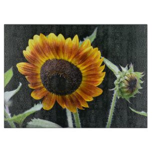 À Découper Planche de découpe de tournesol