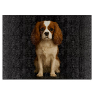 À Découper Planche en verre Black 4 Luxe Cavalier Spaniel