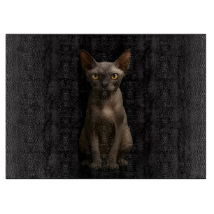 À Découper Planche en verre Black 4 Luxe Chat Sphynx