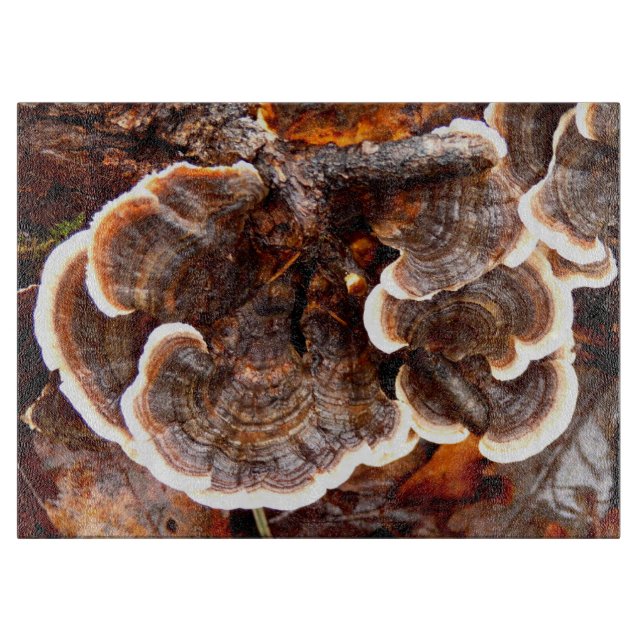 À Découper Turquie Tails Fungi Planche de verre (Devant)