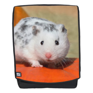 À Dos Noir blanc de hamster syrien mignon repéré - sac