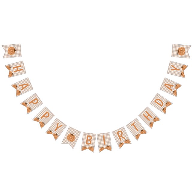 À Fanions Bannière d'anniversaire Gingham Little Pumpkin (Tout)