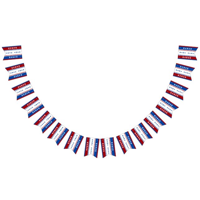 À Fanions Bannière faite sur commande d'élection (Tout)