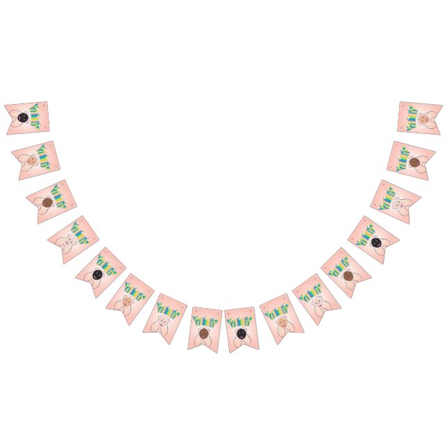 À Fanions Bannière Fête de Princesse ! (Tout)