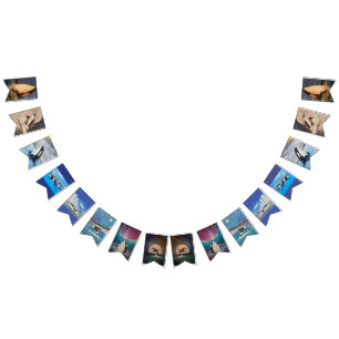 À Fanions Bannière Orca Bunting