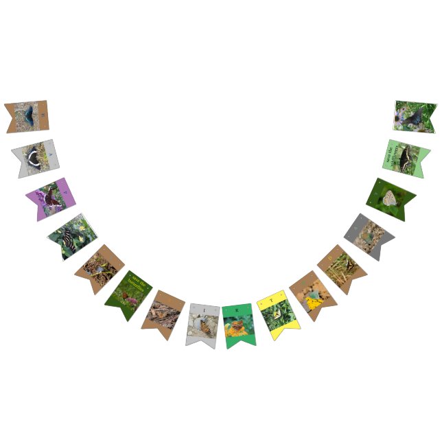 À Fanions Enregistrer la bannière d'anniversaire des papillo (Tout)