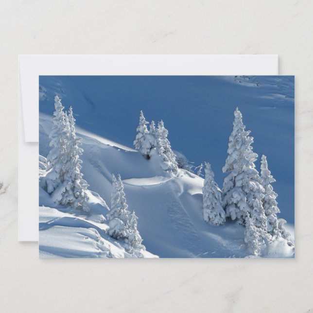 À feuillage persistant arbres couverts de neige hi (Devant)