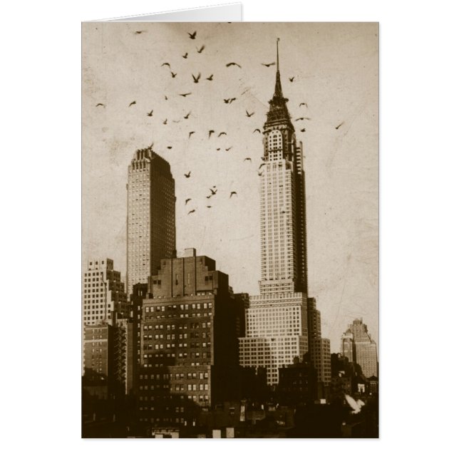 A flock of birds flying (Devant)