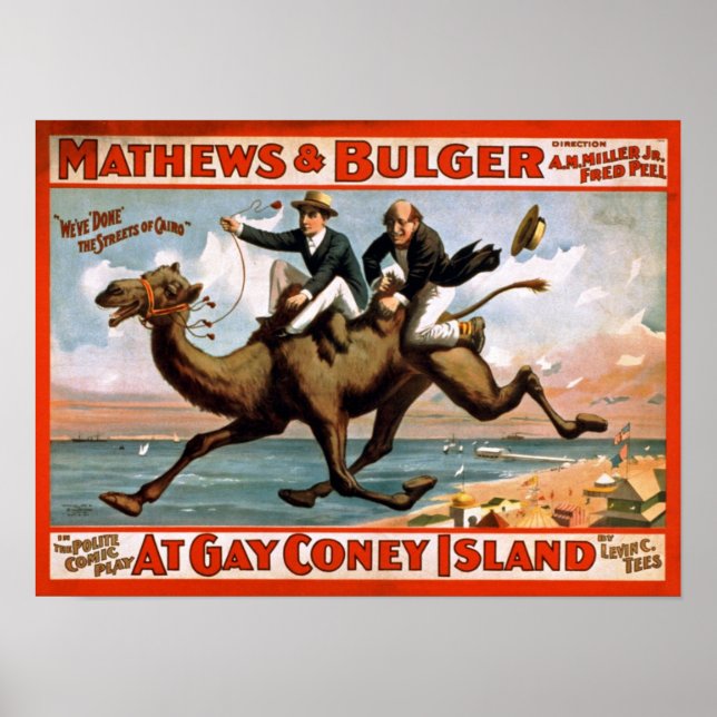 À Gay Coney Island Poster vintage (Devant)