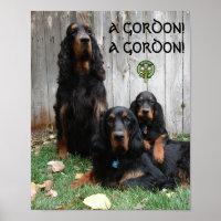 A GORDON! A GORDON! Gordon Setter Poster