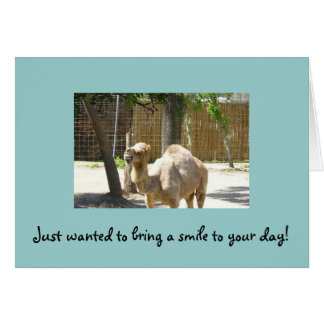 A juste voulu apporter un sourire à votre jour