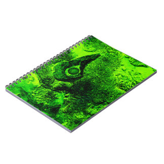 à la recherche de carnet vert
