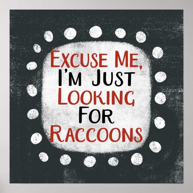 A La Recherche De Raccoons Poster Wall Art (Devant)