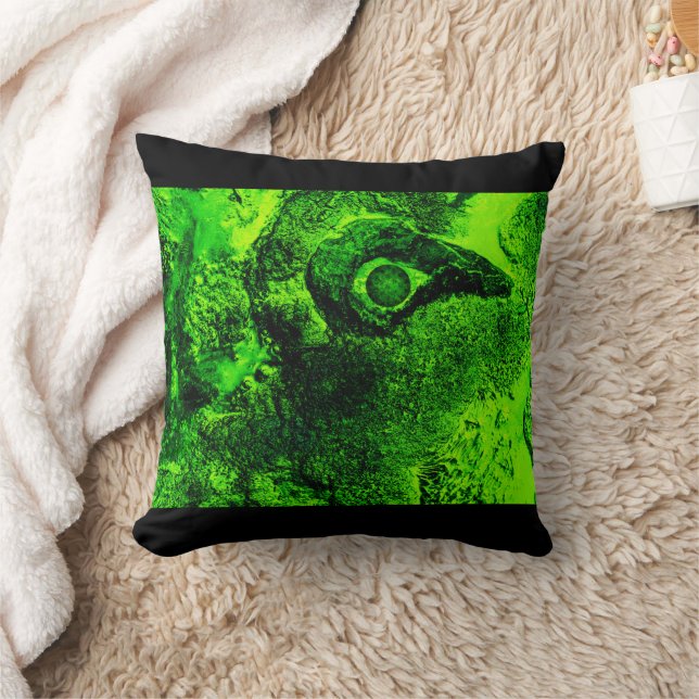 à la recherche d'un oreiller à lancer vert (Couverture)