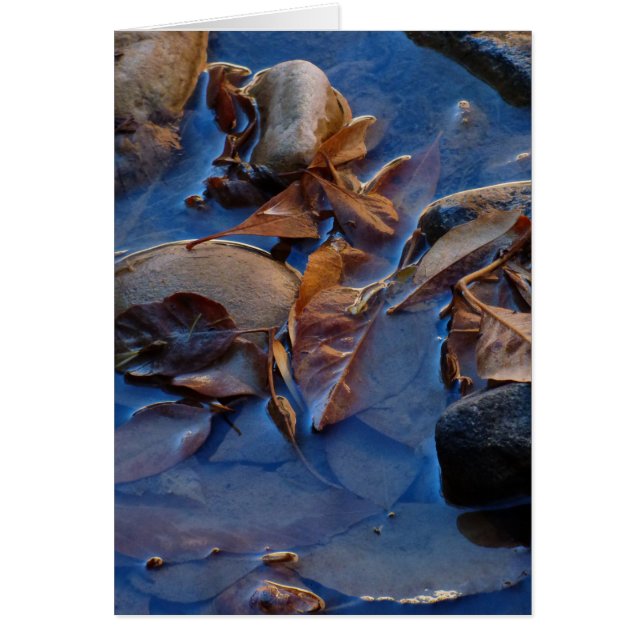 À l'intérieur, Feuille (Devant)