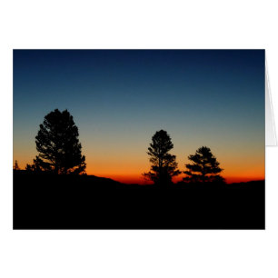 À l'intérieur, Sierra Sunrise