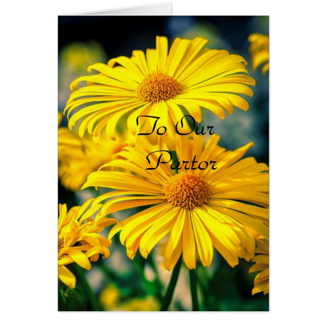 À notre Pasteur "Dame" (Devant)